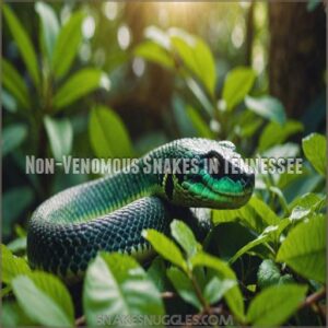 Tennessee Snakes: Identification, Safety, And Coexistence Guide