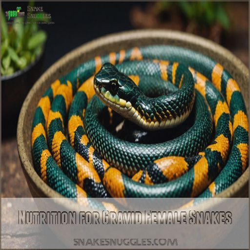 Nutrition for Gravid Female Snakes