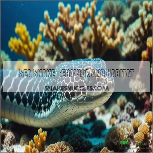 Sea Snake Behavior and Habitat