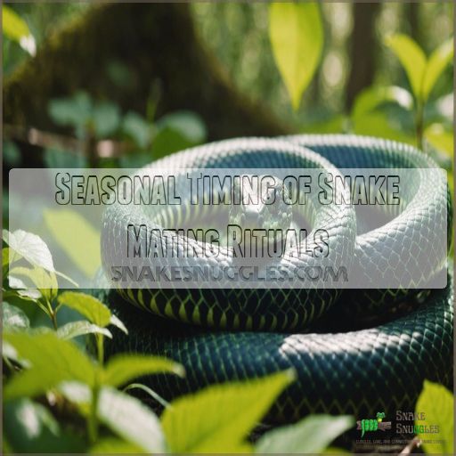 Seasonal Timing of Snake Mating Rituals