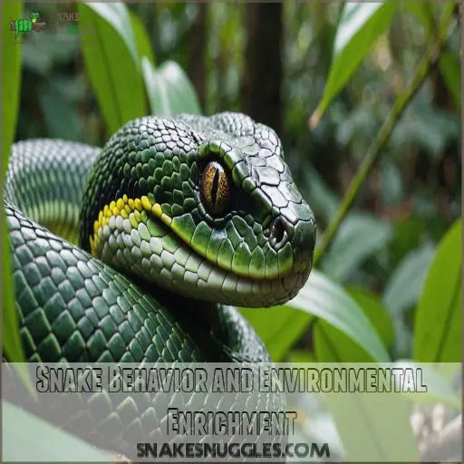 Snake Behavior and Environmental Enrichment