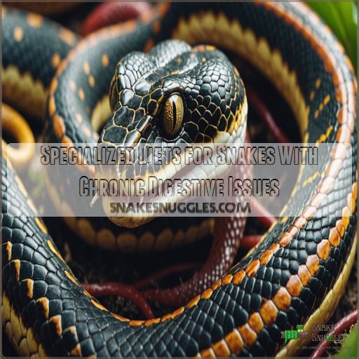 Specialized Diets for Snakes With Chronic Digestive Issues