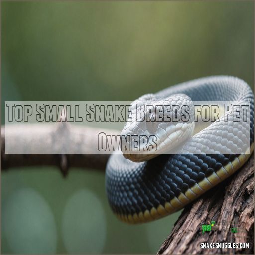 Top Small Snake Breeds for Pet Owners