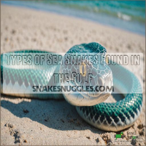 Types of Sea Snakes Found in the Gulf