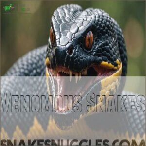 Venomous Snakes