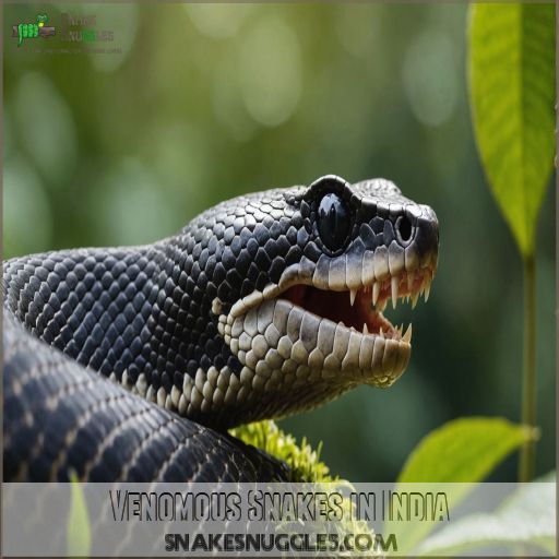 Venomous Snakes in India