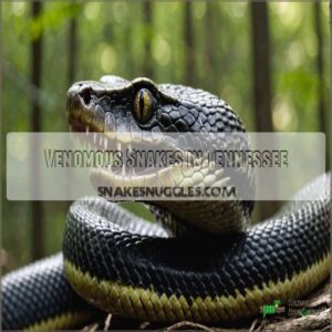 Tennessee Snakes: Identification, Safety, And Coexistence Guide