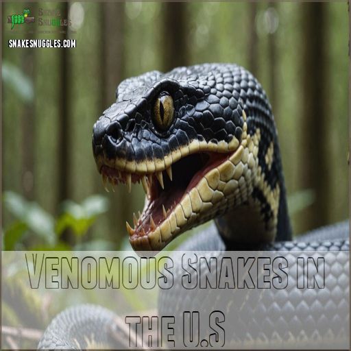 Venomous Snakes in the U.S