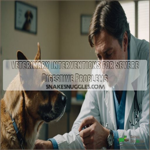 Veterinary Interventions for Severe Digestive Problems