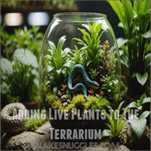 Adding Live Plants to The Terrarium