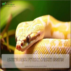 Albino Ball Python Health Issues