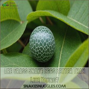 Are Grass Snake Eggs Better Than Live Young