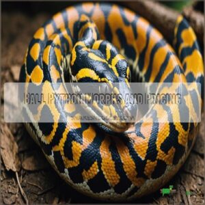 Ball Python Morphs and Pricing