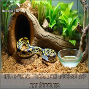 Ball Python Terrarium Accessories and Supplies