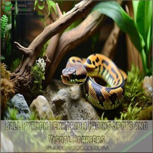 Ball Python Terrarium Hiding Spots and Visual Barriers