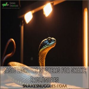 Basic Lighting Systems for Snake Enclosures