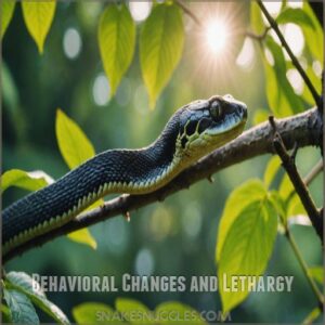 Behavioral Changes and Lethargy