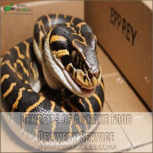 Benefits of a Snake Food Delivery Service