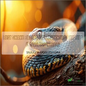 best snake breeds for beginners