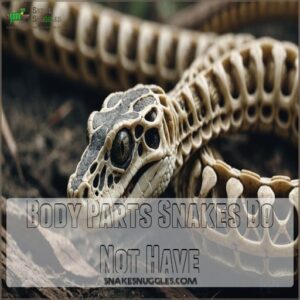 Body Parts Snakes Do Not Have