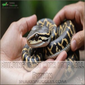 Building Trust With Your Ball Python