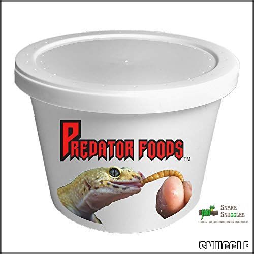 Snake Food Delivery Service: 5 Best Frozen Feeder Options for Snakes