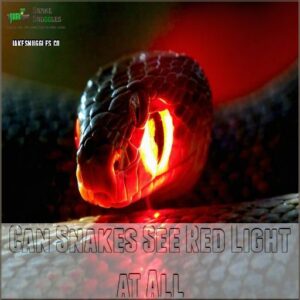 Can Snakes See Red Light at All