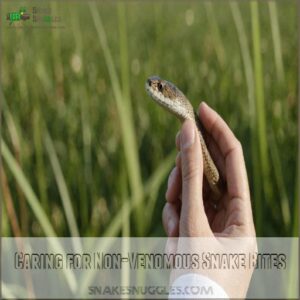 Caring for Non-Venomous Snake Bites