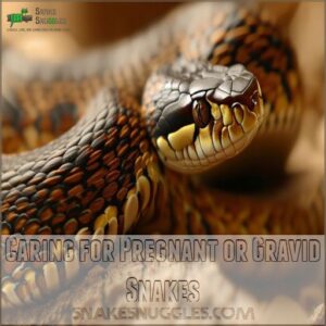 Caring for Pregnant or Gravid Snakes