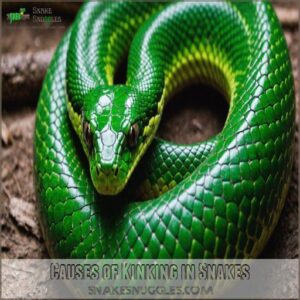 Causes of Kinking in Snakes