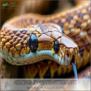 Changes in Snake Physiology