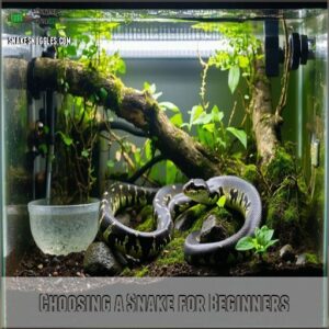 Choosing a Snake for Beginners