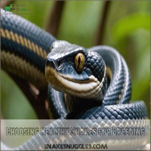 Choosing Healthy Snakes for Breeding