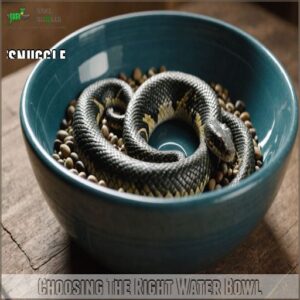 Choosing The Right Water Bowl