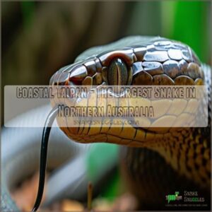 Coastal Taipan - The Largest Snake in Northern Australia