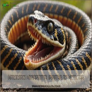 Common Digestive Issues in Snakes