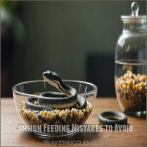 Common Feeding Mistakes to Avoid