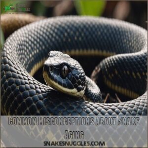 Common Misconceptions About Snake Aging