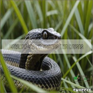 Identifying Snake Species by Sound: Expert Guide to Hisses & Rattles