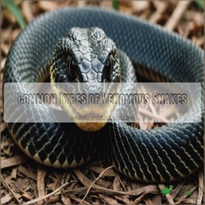 Common Types of Venomous Snakes