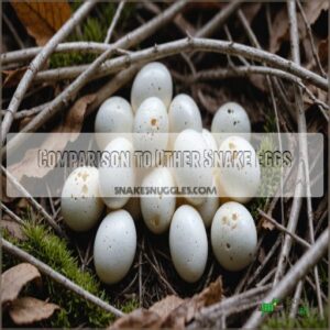 Comparison to Other Snake Eggs