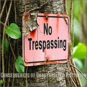 Consequences of Unauthorized Visitation