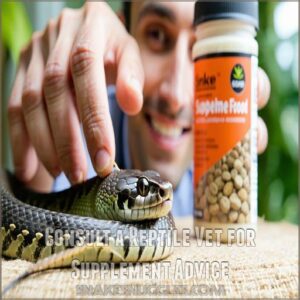 Consult a Reptile Vet for Supplement Advice