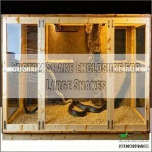 Custom Snake Enclosure for Large Snakes Custom Snake Enclosure for Large Snakes