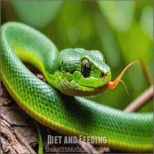 Diet and Feeding