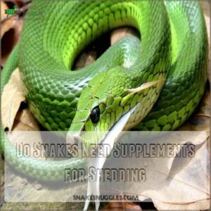 Do Snakes Need Supplements for Shedding