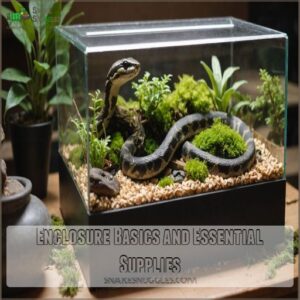 Enclosure Basics and Essential Supplies