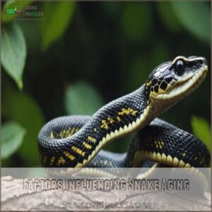 Factors Influencing Snake Aging