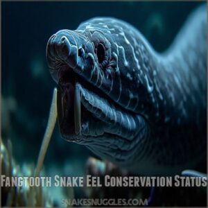 Fangtooth Snake Eel Conservation Status