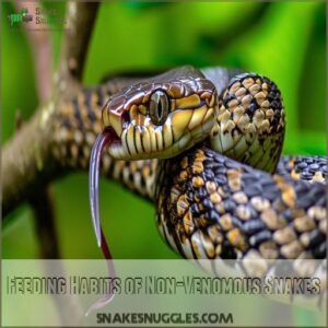 Feeding Habits of Non-Venomous Snakes